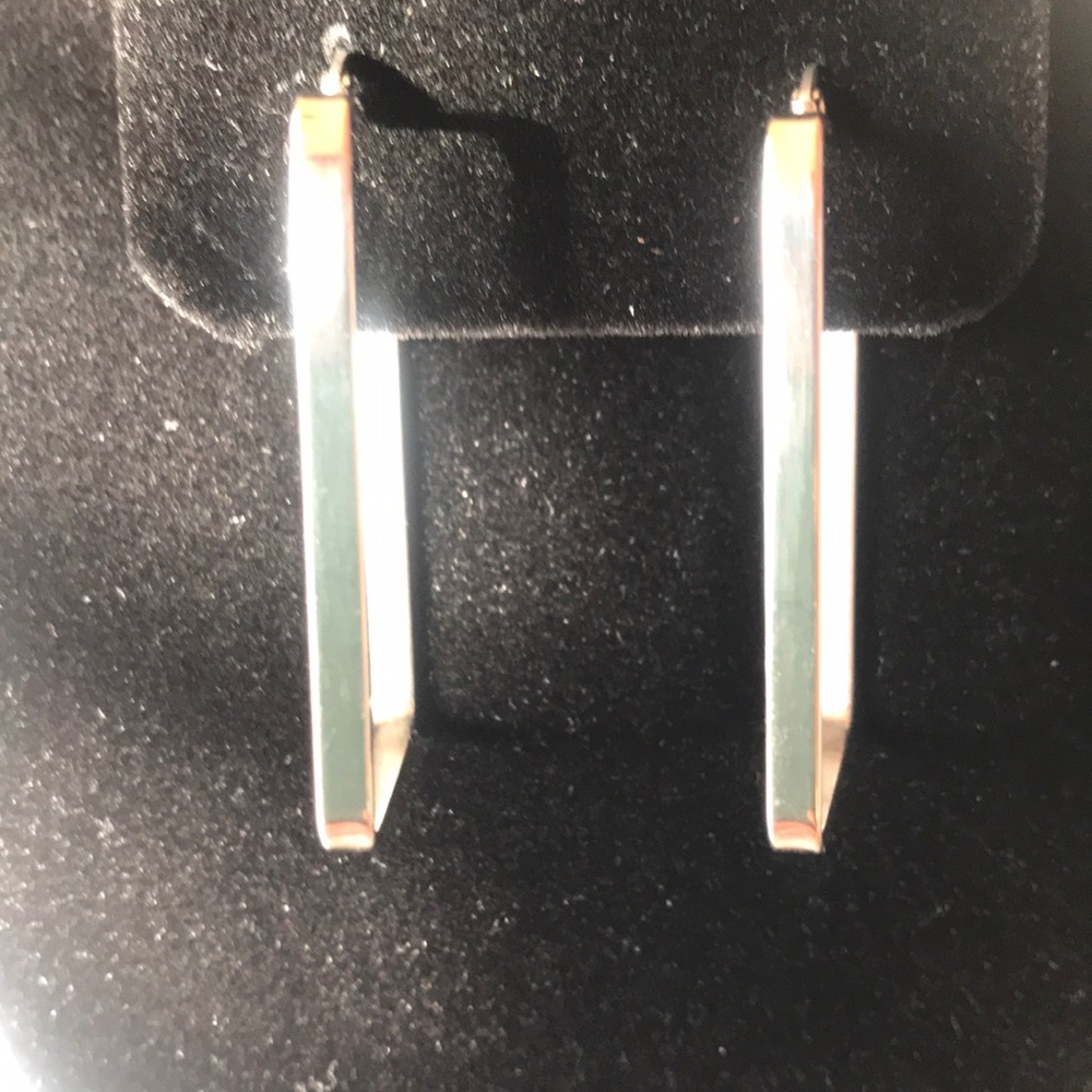 Stainless Steel Rectangular Earings - image 1